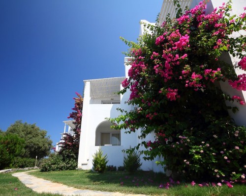Vega Boutique & Aparts 4* в Гюмюшлюке, Бодрум: честный обзор от турагента