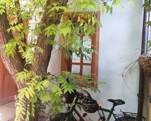 Kuyu Beergarden Hostel в Анталье — хостел без звёздной категории