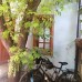 Kuyu Beergarden Hostel в Анталье — хостел без звёздной категории
