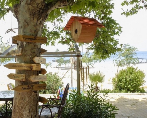 Naz Bungalow 2* в Сиде: мой честный разбор отеля