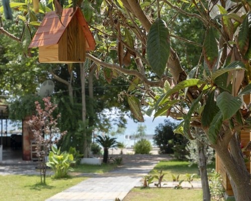 Naz Bungalow 2* в Сиде: мой честный разбор отеля