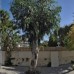 Tropicana Garden 3* — отель в Кушадасы