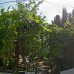 No 1281 Boutique Hotel 3* в Адрасане (Анталья)