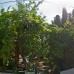 No 1281 Boutique Hotel 3* в Адрасане (Анталья)