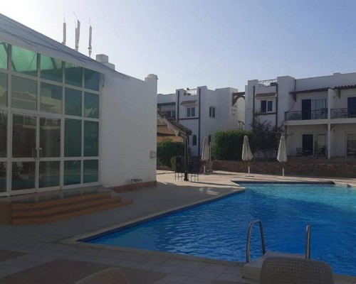 Отель Logaina Sharm Resort 3* в Шарм-эль-Шейхе