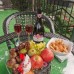 Hotel Old Pitius 2* в Пицунде