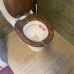 Grass Hotel 3* в Гагре (Абхазия)
