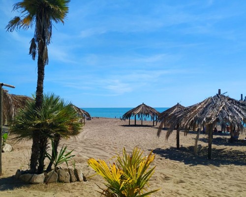 Отель At the sea в Сухуме (Абхазия)
