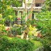 Swastha Ayurveda Villa — небольшая вилла в Хиккадуве