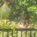 Swastha Ayurveda Villa — небольшая вилла в Хиккадуве