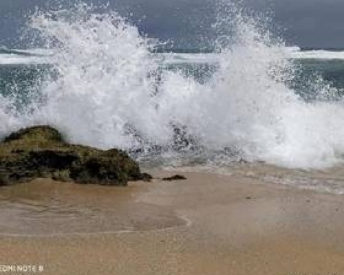Akurala Beach Boutique Resort 3* в Хиккадуве: тихий отель у океана