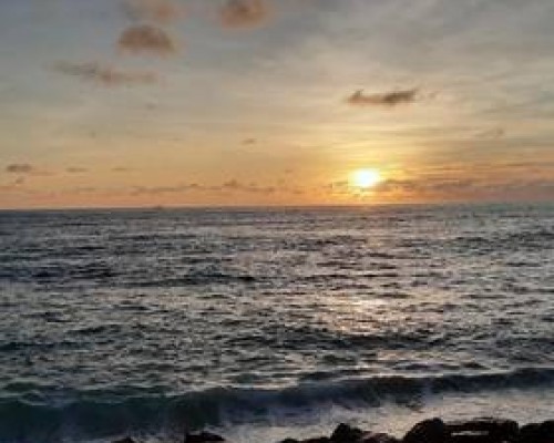 Akurala Beach Boutique Resort 3* в Хиккадуве: тихий отель у океана