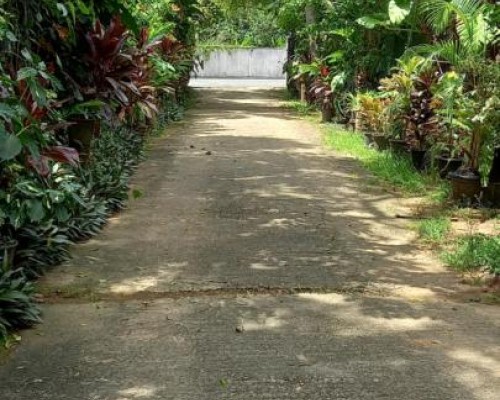 Nooit Gedacht Holiday Resort 4* в Унаватуне