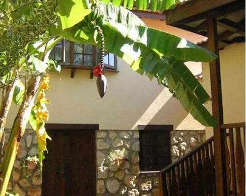 Mountain Lodge в Олюденизе: спокойный отель для активного отдыха