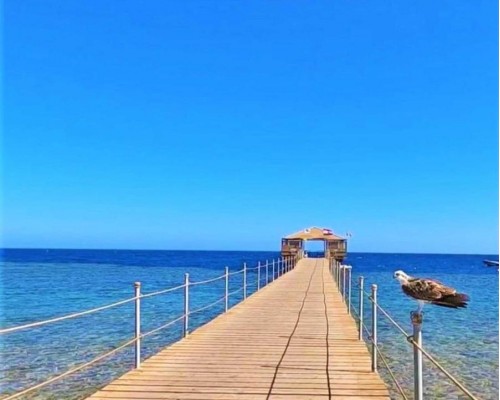 Rohanou Beach Resort & Ecolodge 4* — Марса Алам, Египет