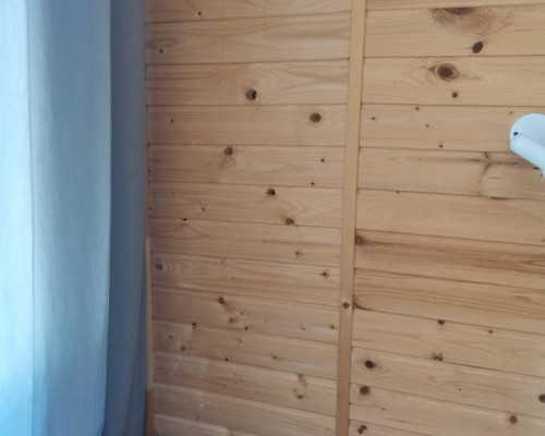 Forest Club 2* — Пицунда, Цитрусовый