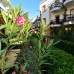 Tropicana Beach Hotel 3* в Гюмбете, Бодрум: честный обзор