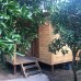 Bungalow Halil в Кемере: честный обзор от турагента