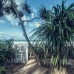 Taru Villas - 906, Хиккадува — отель 3* для пляжного отдыха