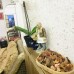 Kaleici Lodge Hotel 3* в Анталье: что важно знать