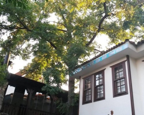 Ninova Boutique Hotel 3* — Анталья, район Муратпаша