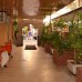 Huzuray Hotel Restaurant 3* в Аланье: честный обзор от турагента