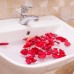 Phuong Nam Guest House — гостевой дом в Фантхьете