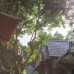 Cosy Bungalow Phu Quoc — отель 3* на Фукуоке