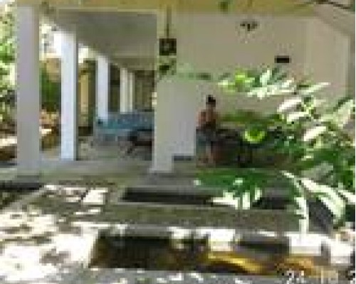 Silva Rest 3* — Унаватуна, Шри-Ланка