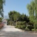 Cactus Mirage Family Club 4* — семейный клуб на первой линии в Ялыкаваке