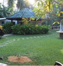 Paradise Garden 3*