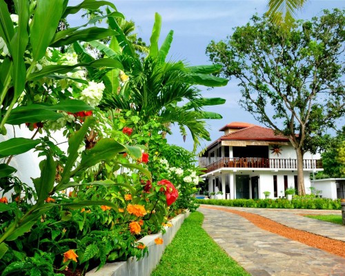 Rockery Villa 3* — отель в Бентоте, Шри-Ланка