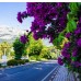 Green Valley Hotel 4* в Кемере: честный обзор от турагента