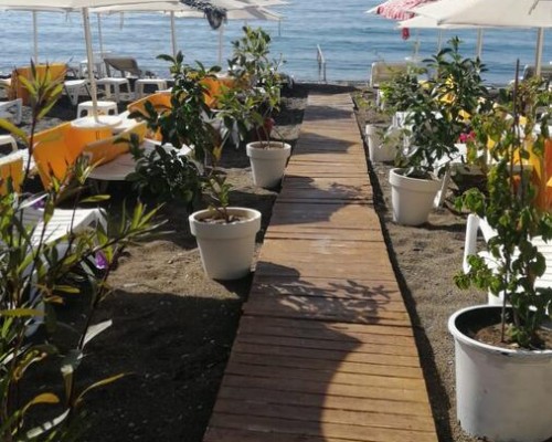 Yaz Beach Hotel, Бодрум — обзор от турагента Галины