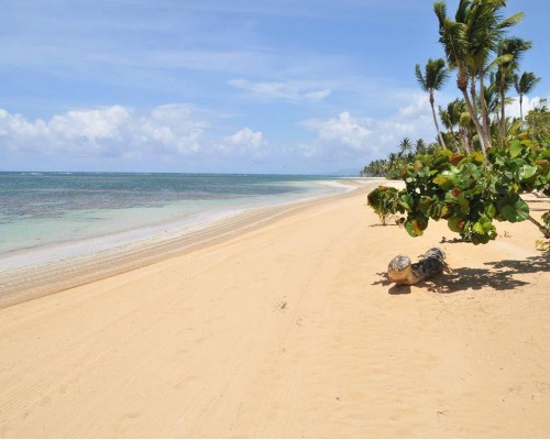 Xeliter Balcones del Atlantico 5* в Самане: что важно знать