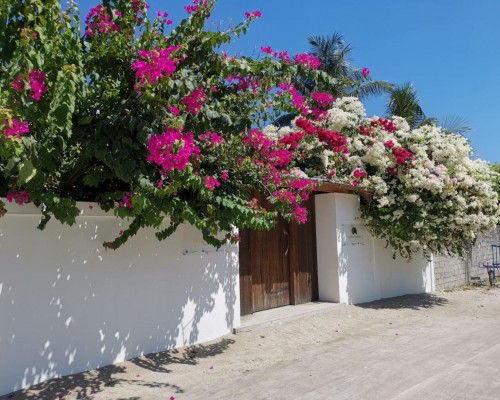 Holiday Cottage Maldives, Тодду — гестхаус 3* на Ари Атолле