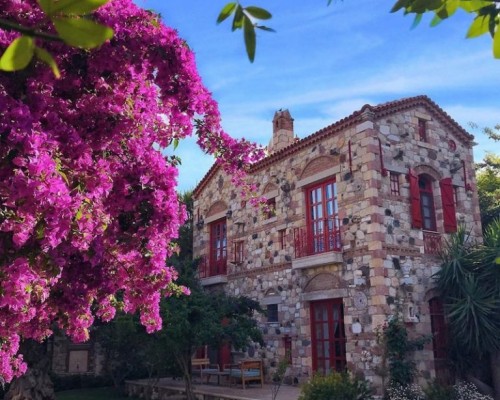 Alacati Zeytin Konak Hotel 4* — Чешме, Алачаты