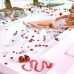 Royal Heaven Villas 4* (Белек, Турция): честный обзор от турагента