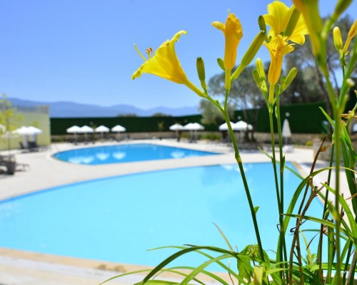 Peninsula Pine Club Boutique Hotel SPA в Кушадасы: что важно знать