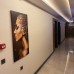 Miyas Luxury Hotel, Кемер: честный обзор для подбора тура