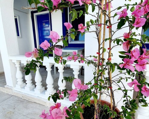 Dreams Bodrum Hotel, Бодрум — мой взгляд на отель для пляжного отдыха