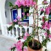 Dreams Bodrum Hotel, Бодрум — мой взгляд на отель для пляжного отдыха