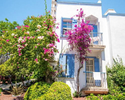 Historical Museum Resort 3* в Бодруме — подбор тура с турагентом Галиной
