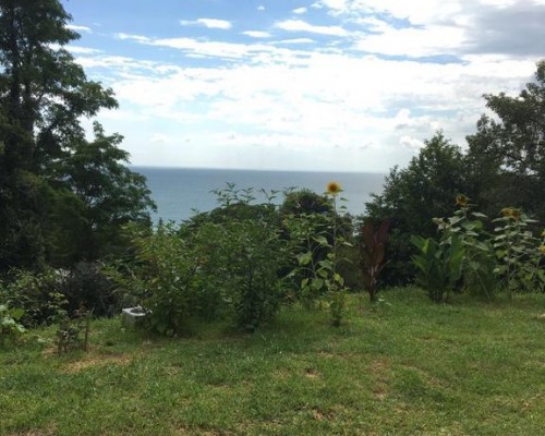 Гостевой Дом Солнечный Холм в Сухуме