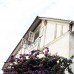 Гостевой Дом Ева в Сухуме — честный обзор
