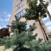 A-more в Гагре: честный обзор гостевого дома