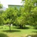 Celik Inn Hotel 4* (ex. Larissa Hotel), Кемер: честный обзор турагента
