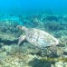 Dhiffushi White Sand Beach 4* — Северный Мале, остров Диффуши
