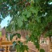 Dream Town Hotel&Restaurant 3* в Кемере — честный обзор от турагента