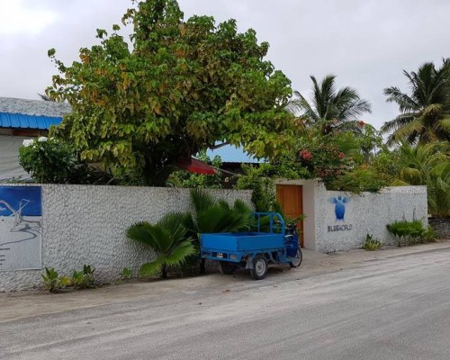 Blue World Dharavandhoo 4* — Баа Атолл, Мальдивы